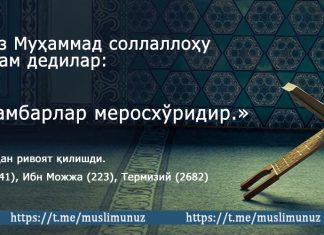 Олимларни маломат қилманг